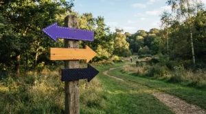 Wegweiser mit drei Richtungspfeilen an einem Parkweg